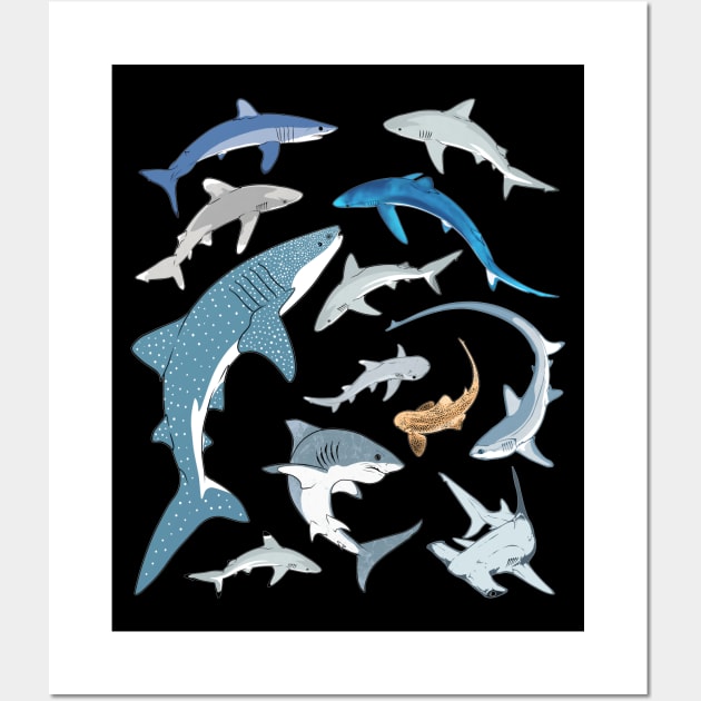 Whale Shark Blue Shark Mako Shark Species Wall Art by NicGrayTees